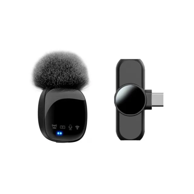 Lippa Wireless Wind Protected Microphone With USB-C Connector