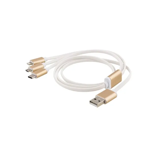 EPZI Lightning cable - Lightning / USB - 1 m