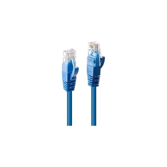 Lindy patch cable - 2 m - blue - Blå - 2m