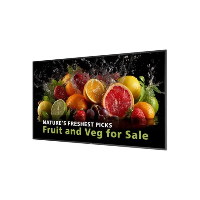 Philips 65BDL5050D 5000 Series - 65" Class (64.5" viewable) LED-backlit LCD display - 4K - for digital signage