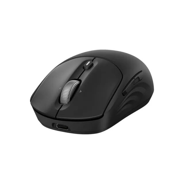 HP 705 - Mus
