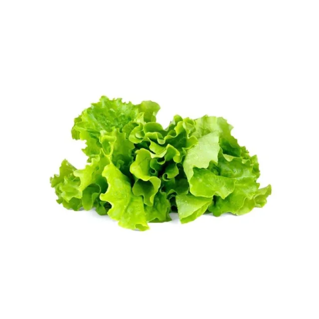 Click & Grow Click and Grow - Smart Garden Refill 3-pack - Green Lettuce (SGR32X3)